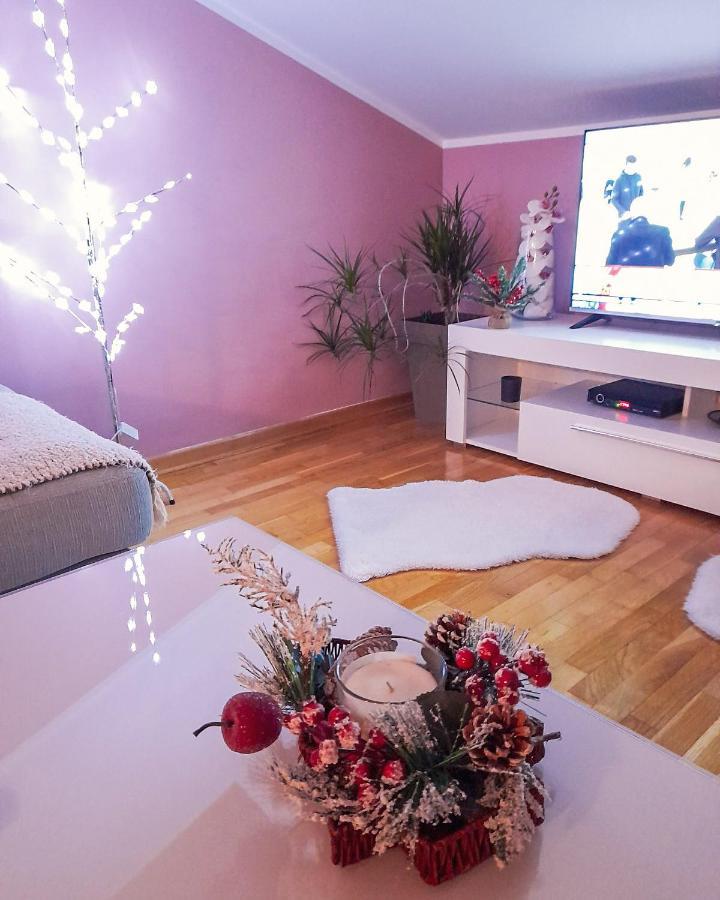 Vrnjačka Banja Apartman Japanski Vrt, Centar מראה חיצוני תמונה