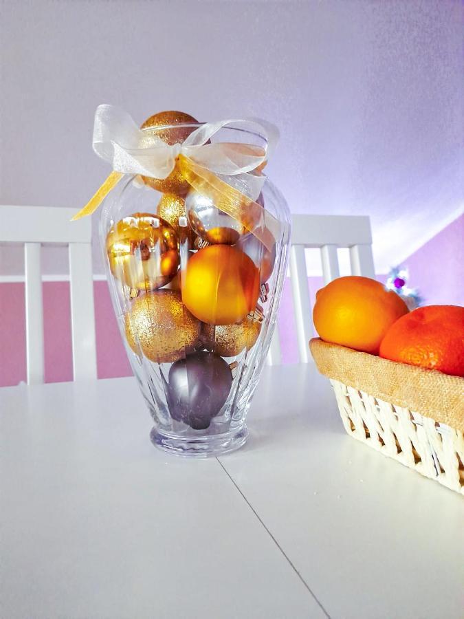 Vrnjačka Banja Apartman Japanski Vrt, Centar מראה חיצוני תמונה
