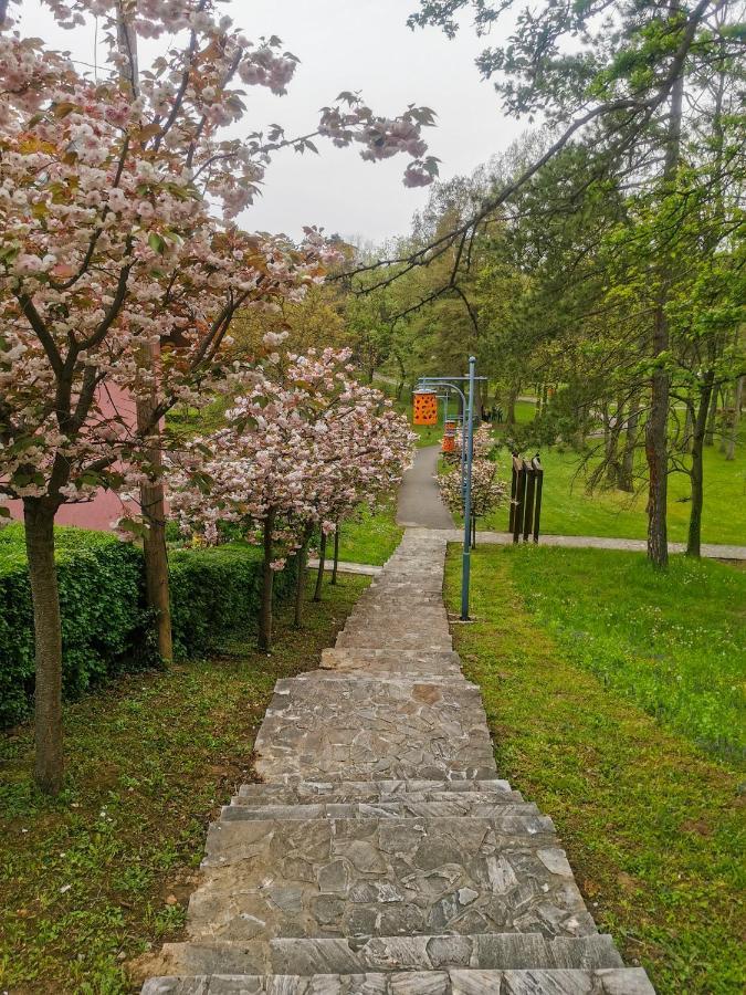 Vrnjačka Banja Apartman Japanski Vrt, Centar מראה חיצוני תמונה