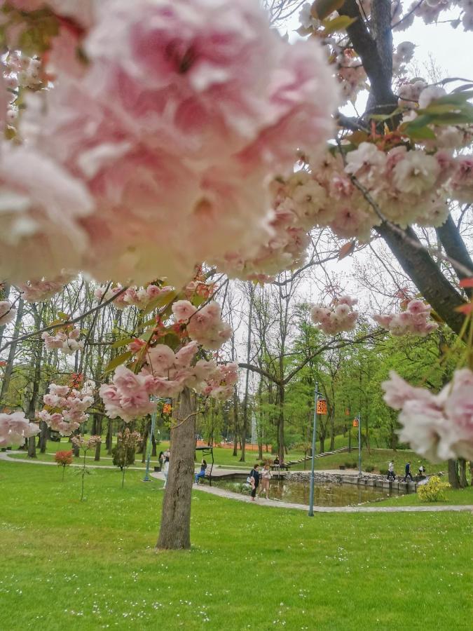 Vrnjačka Banja Apartman Japanski Vrt, Centar מראה חיצוני תמונה